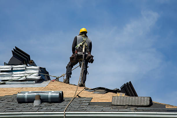 Professional Storm Damage Roof Repair technician working in Winthrop, MN