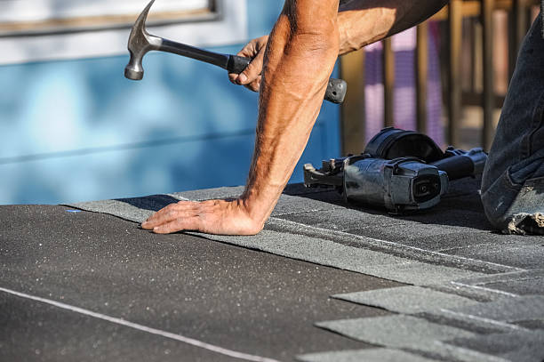 Affordable Storm Damage Roof Repair solutions in Winthrop, MN